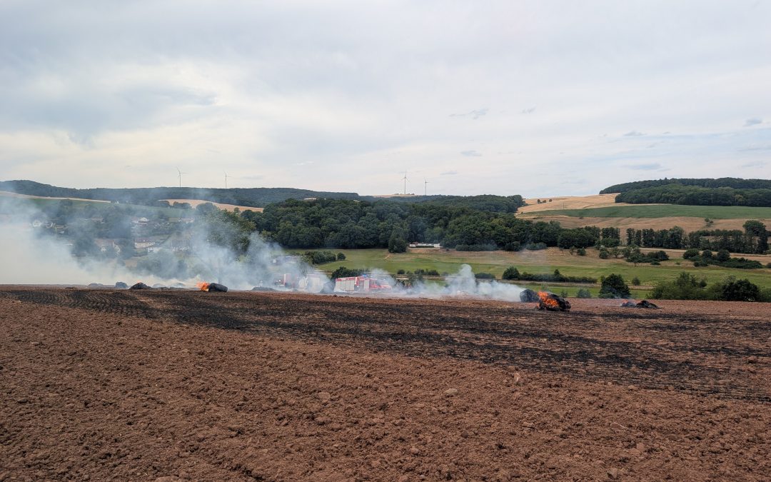 Flächenbrand groß, Rehweiler