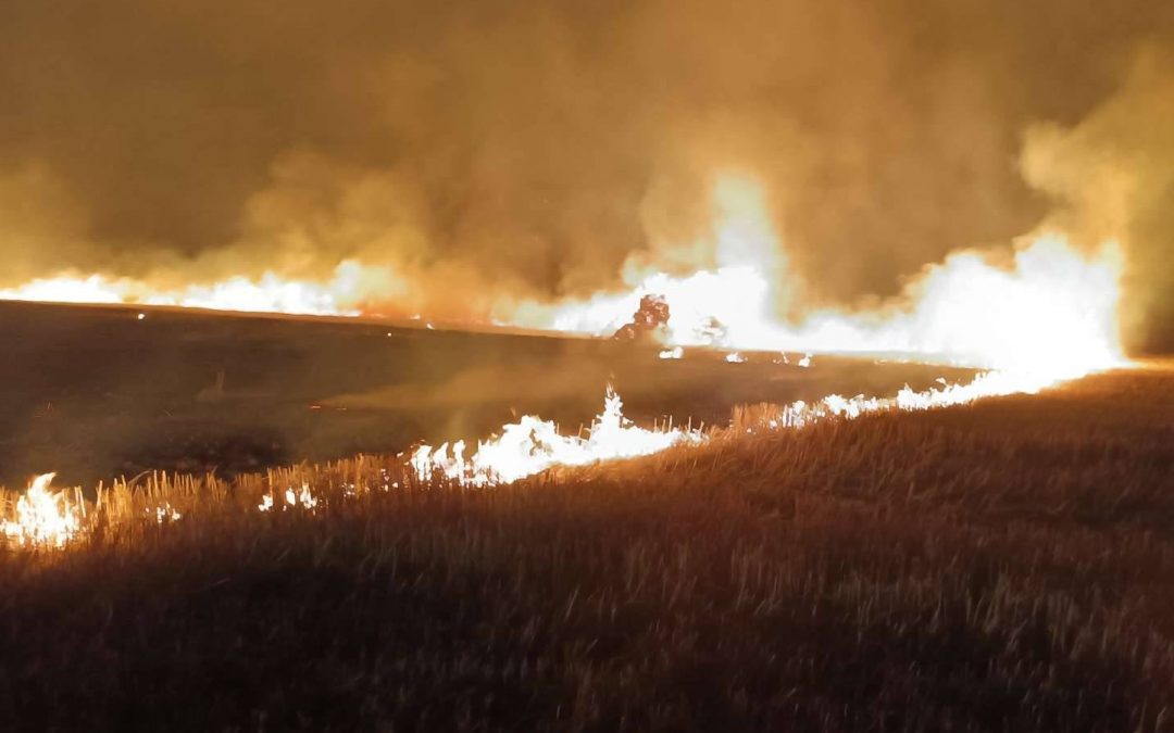 Flächenbrand groß, Nanzdietschweiler