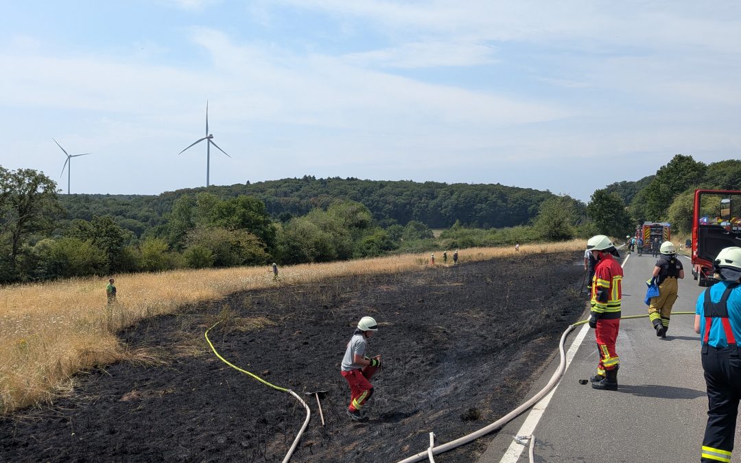 Flächenbrand groß, L352 Wahnwegen – Herschweiler-Pettersheim
