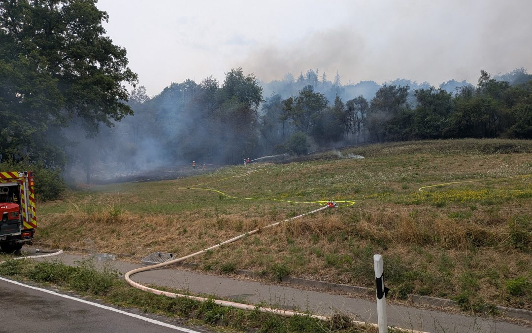 Waldbrand groß, Quirnbach-Liebsthal