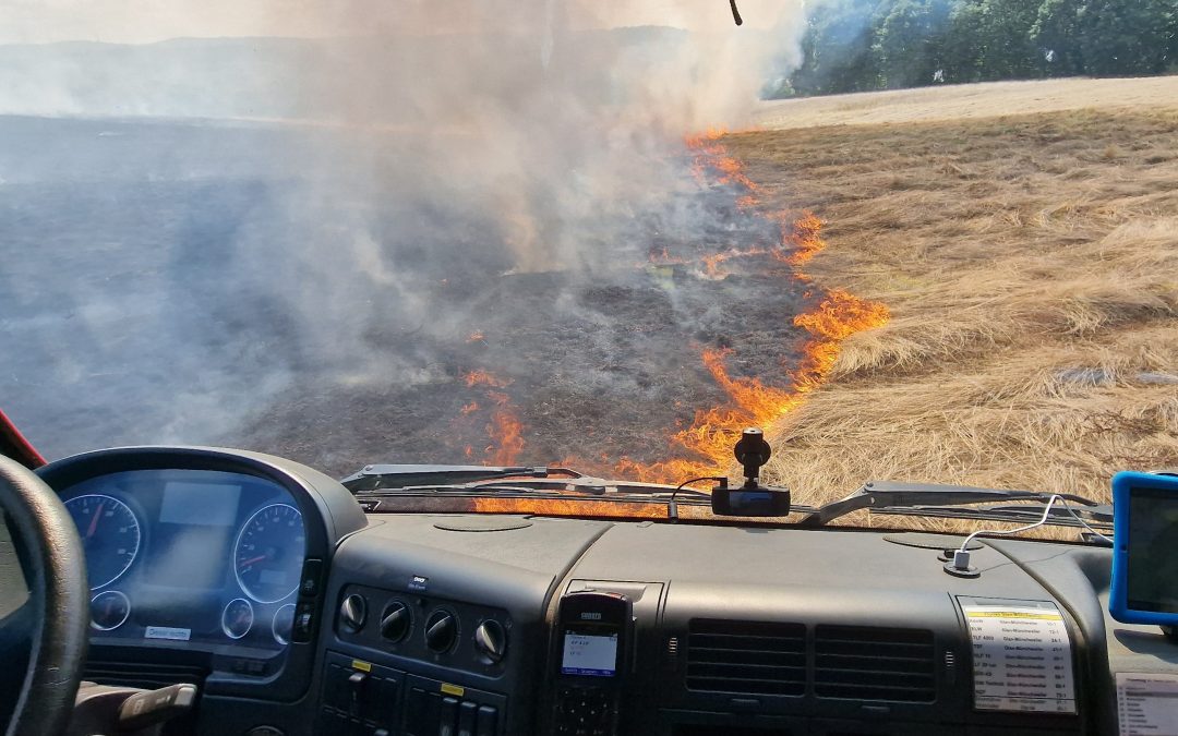 Vegetationsbrand groß, Niedermohr